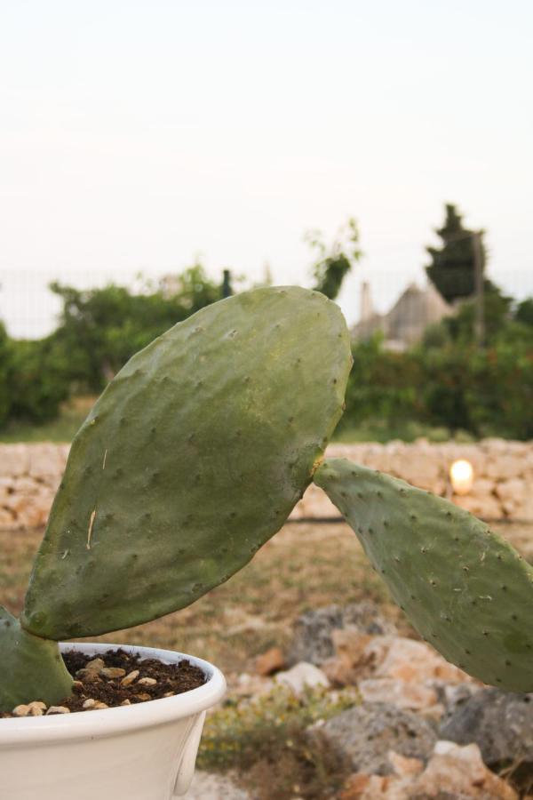Enjoytrulli - Countryside Villa Noci Buitenkant foto